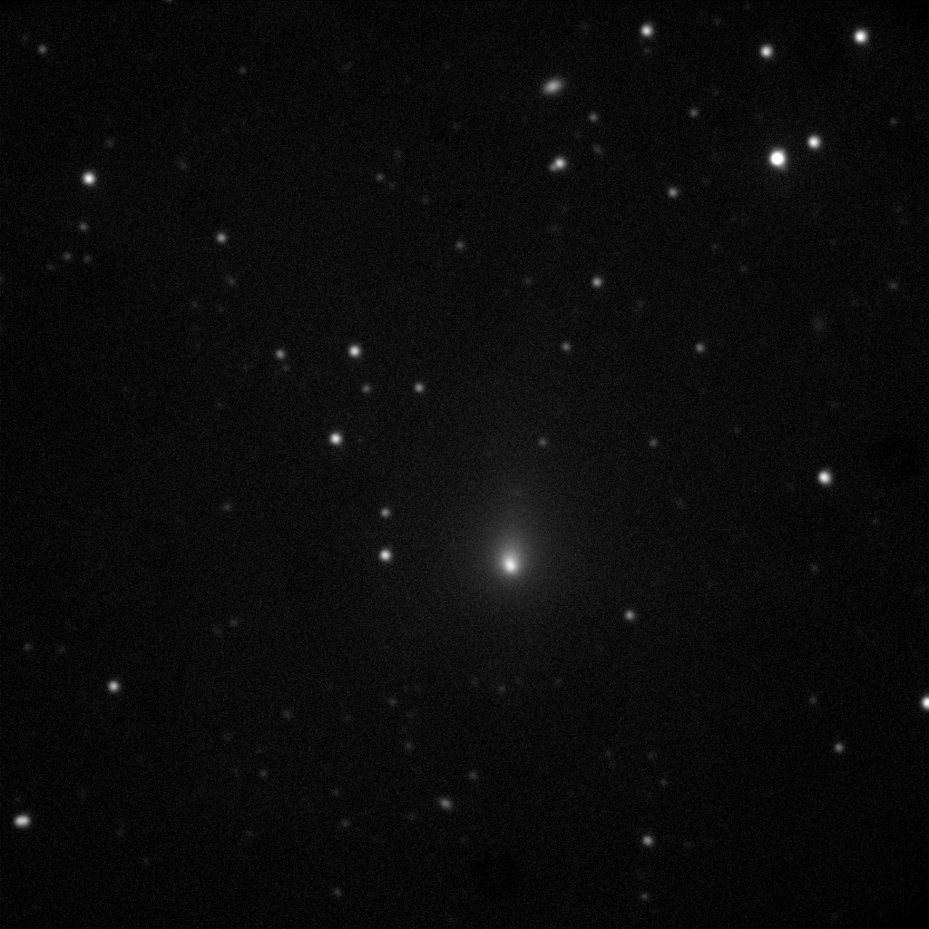 Observations de la comète C/2019 Y4 réalisées au télescope de 120cm de l’observatoire de Haute-Provence le 3 mars 2020. Neuf minutes séparent la première et la dernière image de l’animation