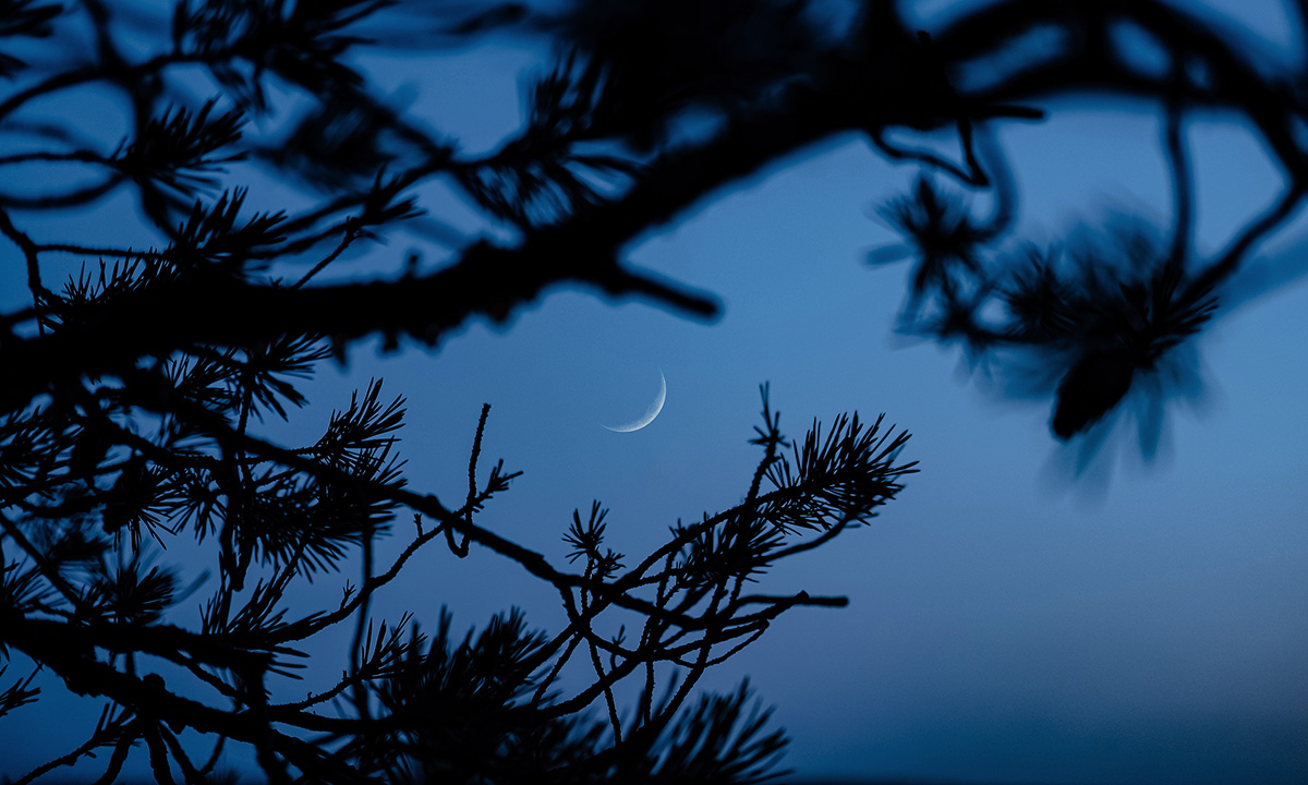 Croissant de Lune